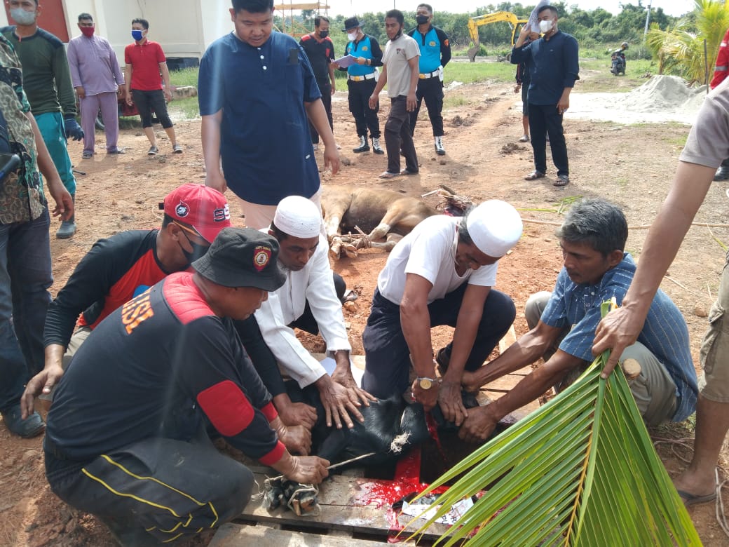 Keluarga Besar Polresta Pekanbaru Sembelih 26 Ekor Hewan Qurban dan Bagikan Paket Sembako